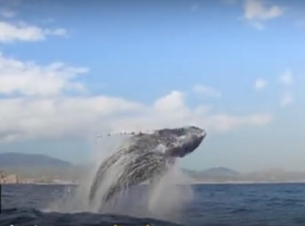 "Pomislila sam da sam mrtva i da mi nema spasa"