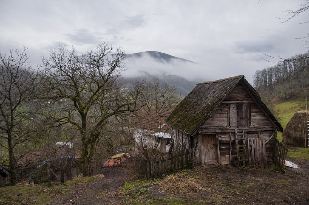 Otišli su da mu odnesu hranu i zatekli šokantnu istinu!