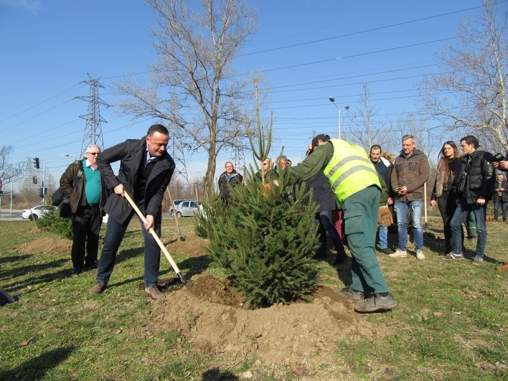 Ministar Antić sadio jelke (FOTO)