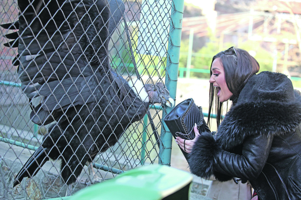 "Đavolica" jedva odbranila torbu od ptice grabljivice!