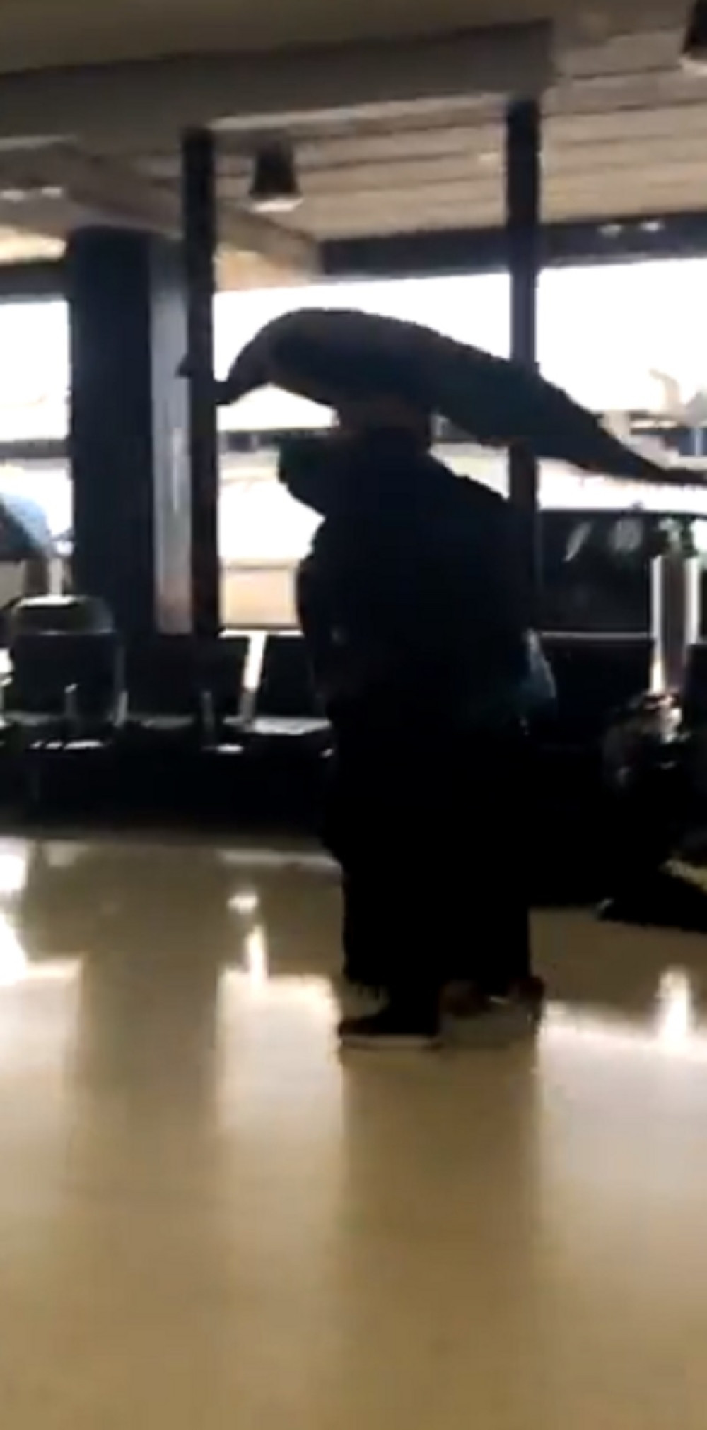 Htela s paunom da se ukrca u avion! (FOTO+VIDEO)