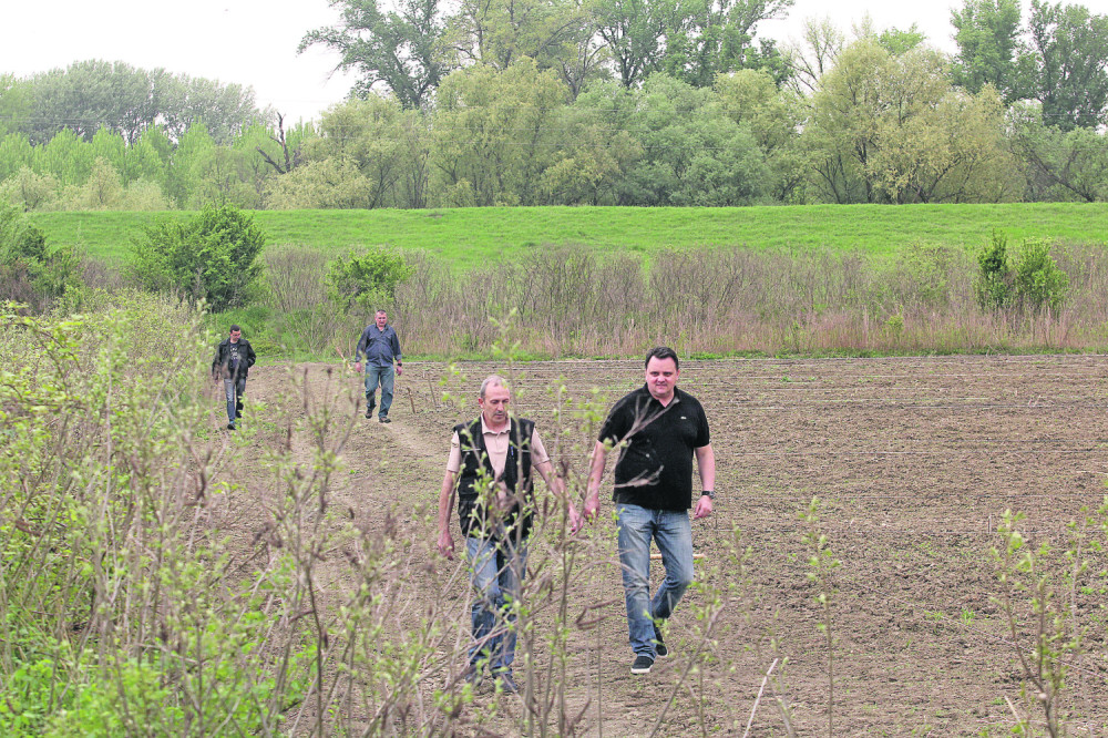 Srbina našli OBEŠENOG u manastirskom vinogradu!