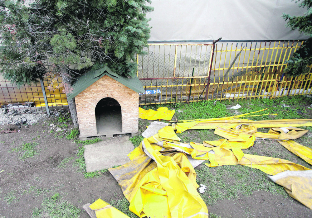 Deda Petar od 16 godina konačno dobio dom (FOTO)