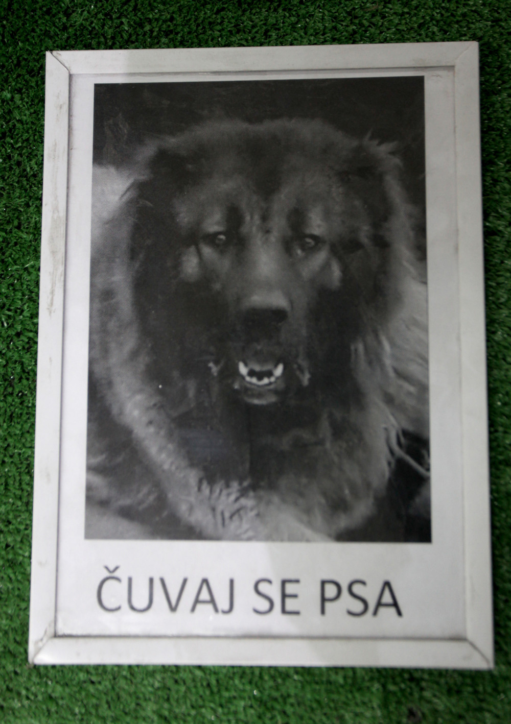 Lopovi otrovali psa, pa izneli 25 kosačica