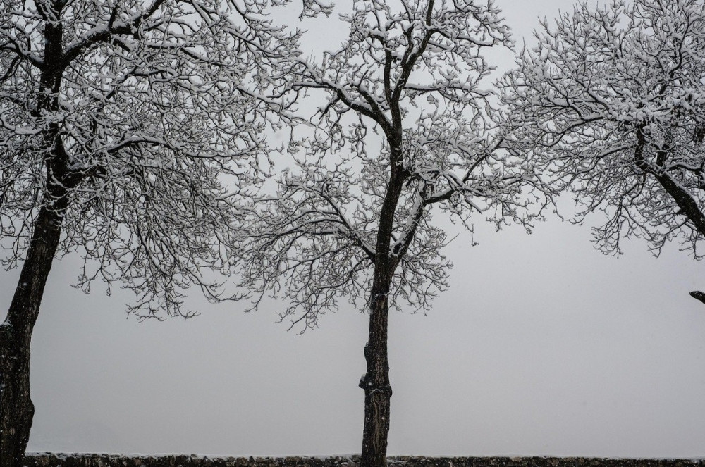 Proglašena vanredna situacija u Boljevcu i Zaječaru