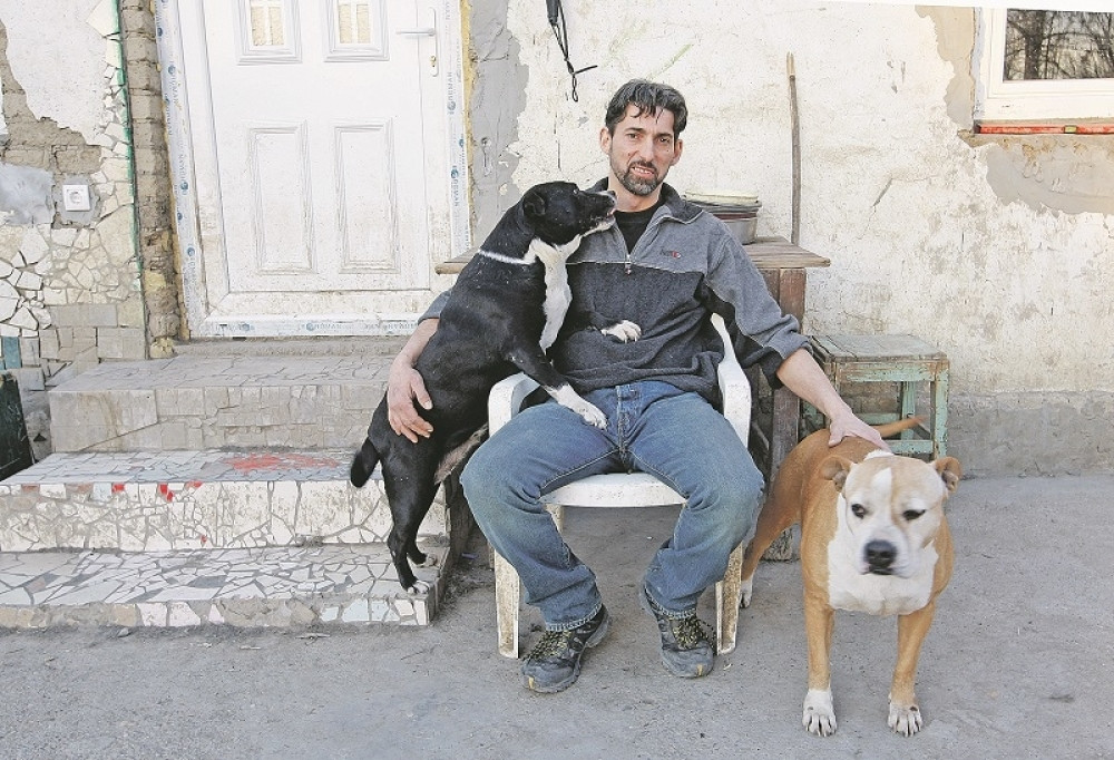 Dejan je šaptač psima i čini nešto neverovatno!