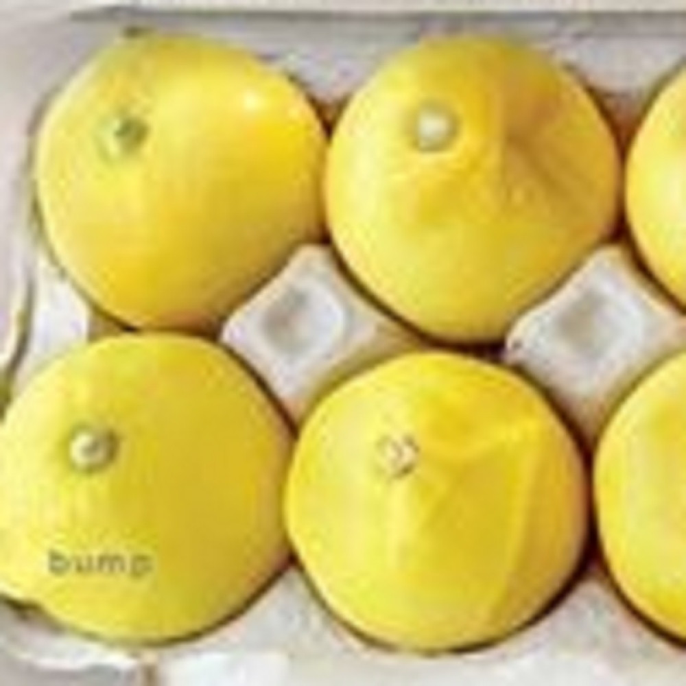 Ova fotografija može da vam spase život