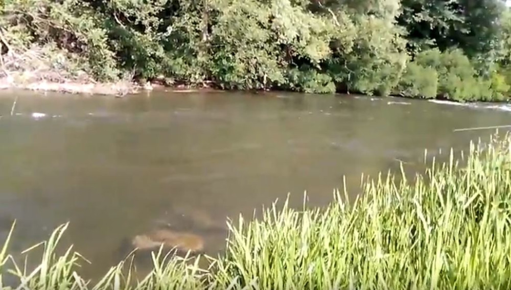 Reka Toplica stagnira