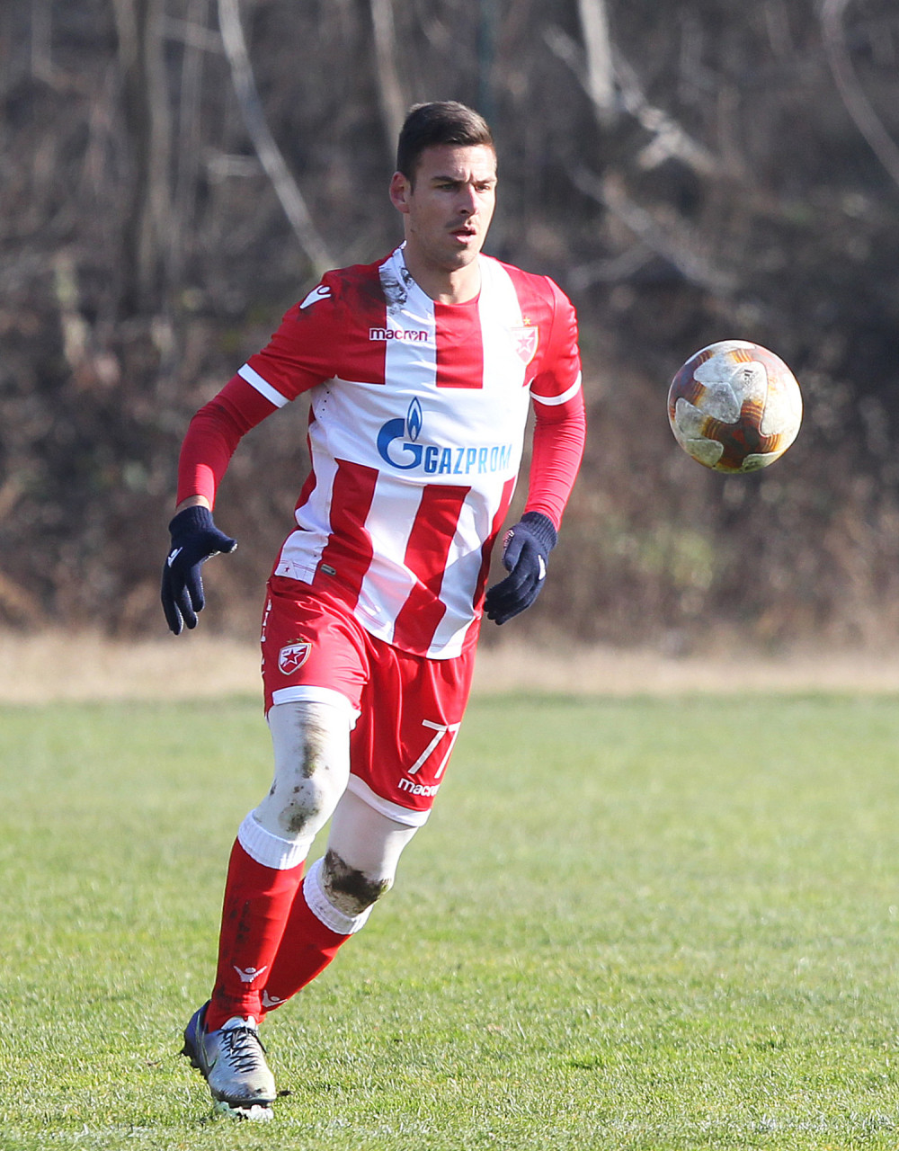 Gobelja gazda u sobi!