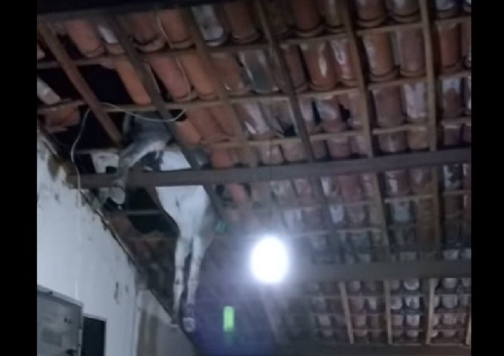 Mirno sedeli u kući, a onda im kroz krov propao magarac!