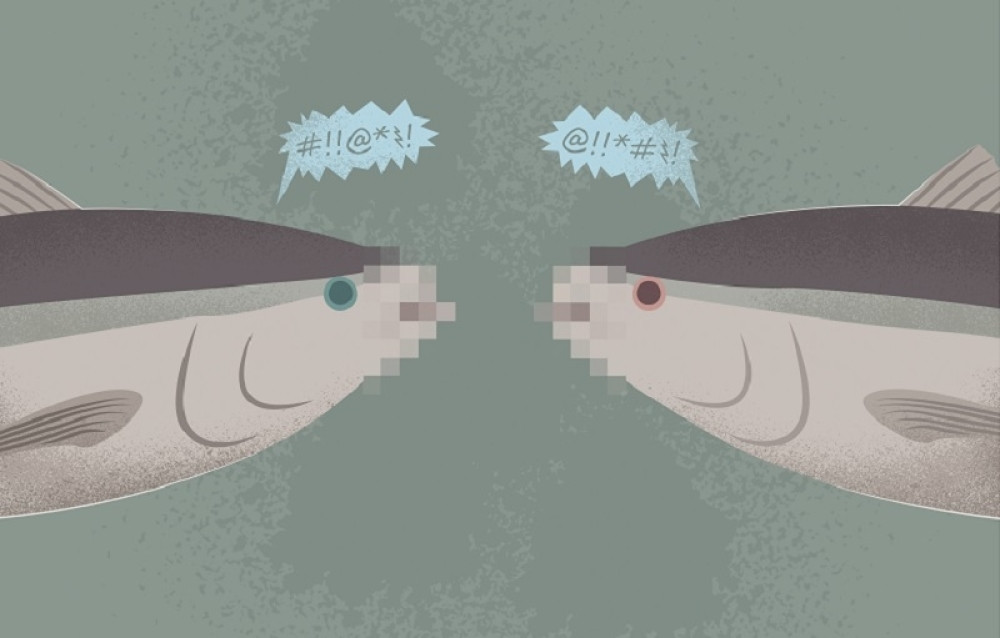 "Ribarske svađe" Karla Goldonija