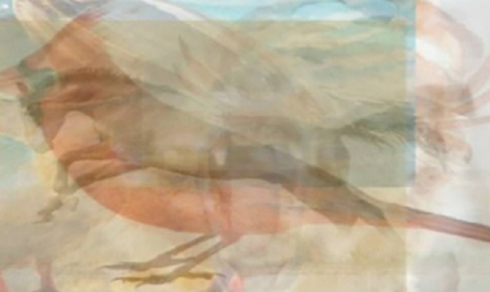 Životinja koju prvo ugledate mnogo govori o vašem karakteru! (FOTO)