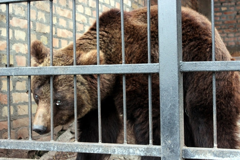 Srpski stručnjak Đorđe Đurić tvrdi suprotno! Evo kakvo nas vreme čeka do kraja februara!