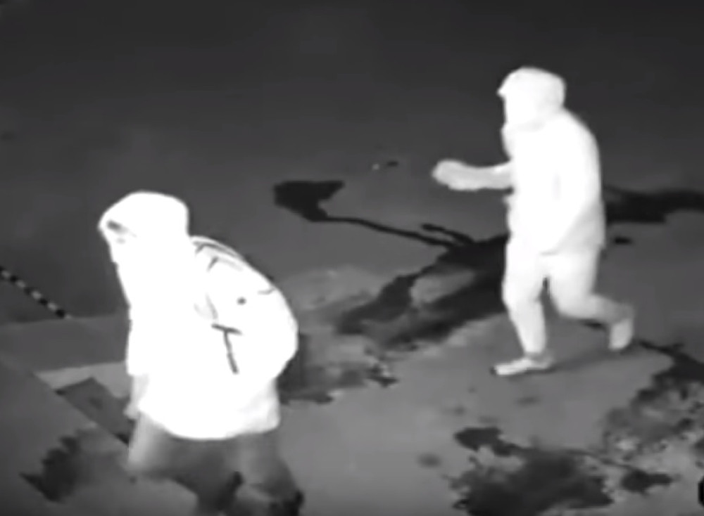 Lopovi probali da joj ukradu auto, ali ovome se nisu nadali (VIDEO)