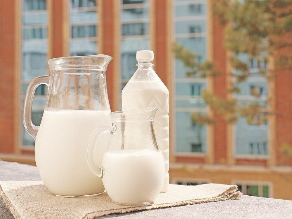 Mleko koje je četiri puta hranljivije od kravljeg, a pravi se od bubašvaba (FOTO)