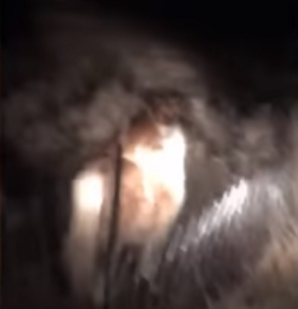 Izašla napolje usred noći i zatekla neverovatan prizor