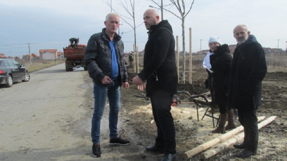 Bogatiji za 60 sadnica platana i 40 sadnica jasena