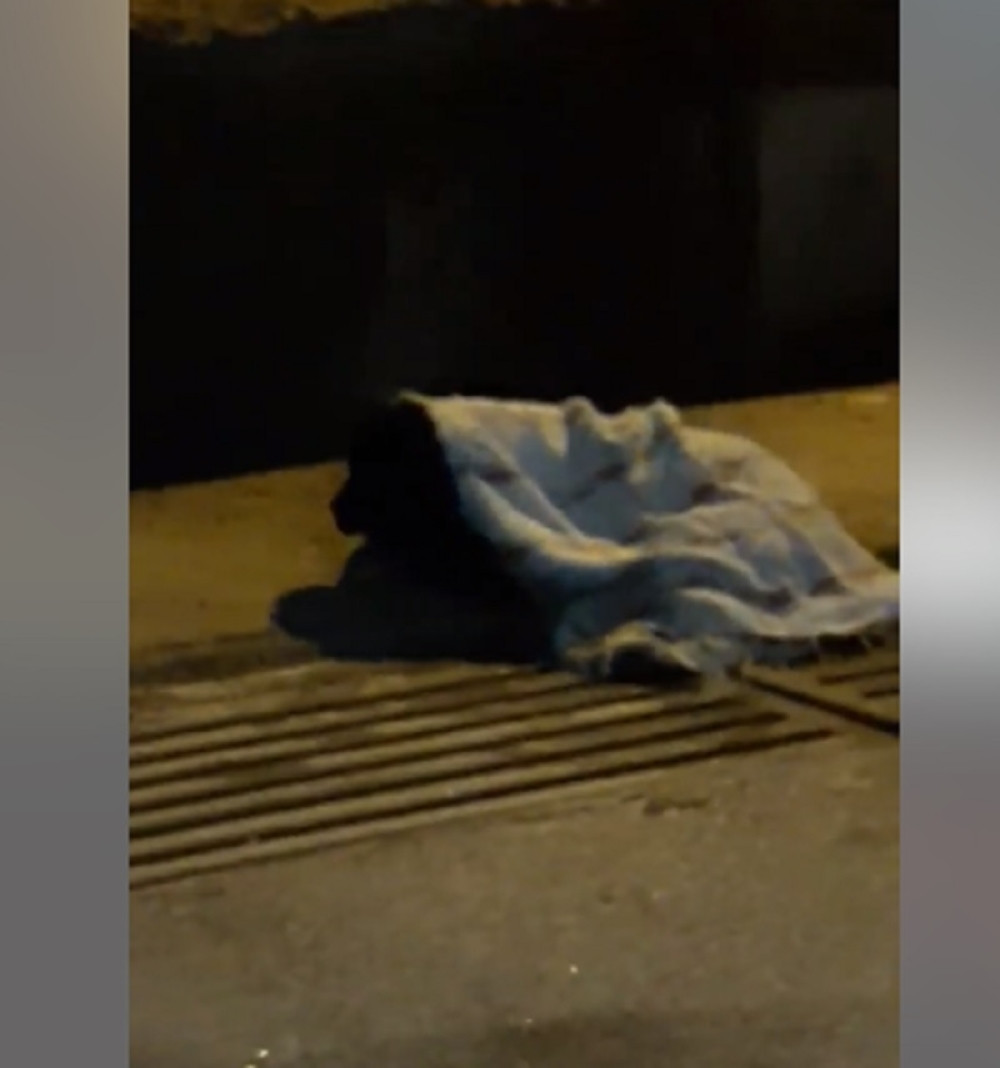 Izbacio psa iz auta i ostavio ga pored puta u Beogradu!