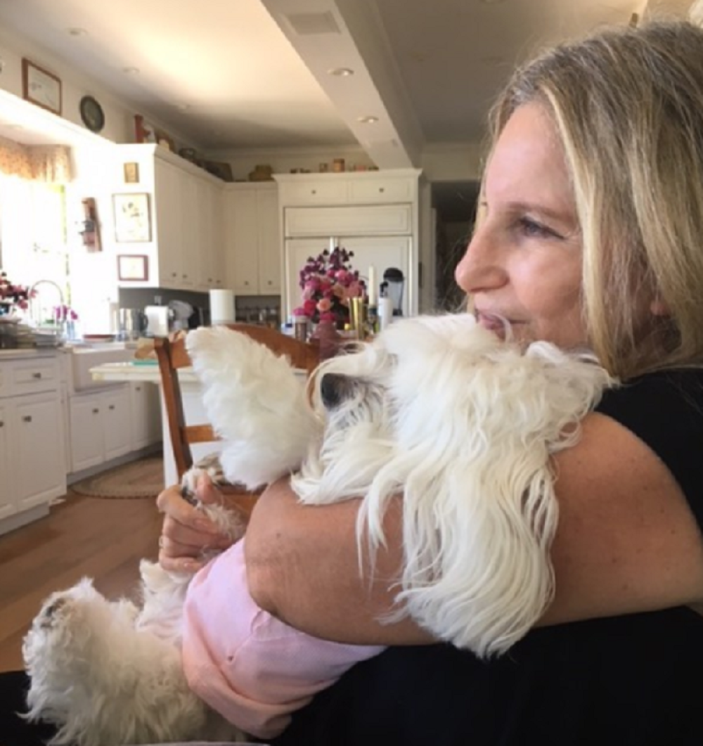 Nećete verovati koliko je Barbra Strejsend platila da joj kloniraju psa