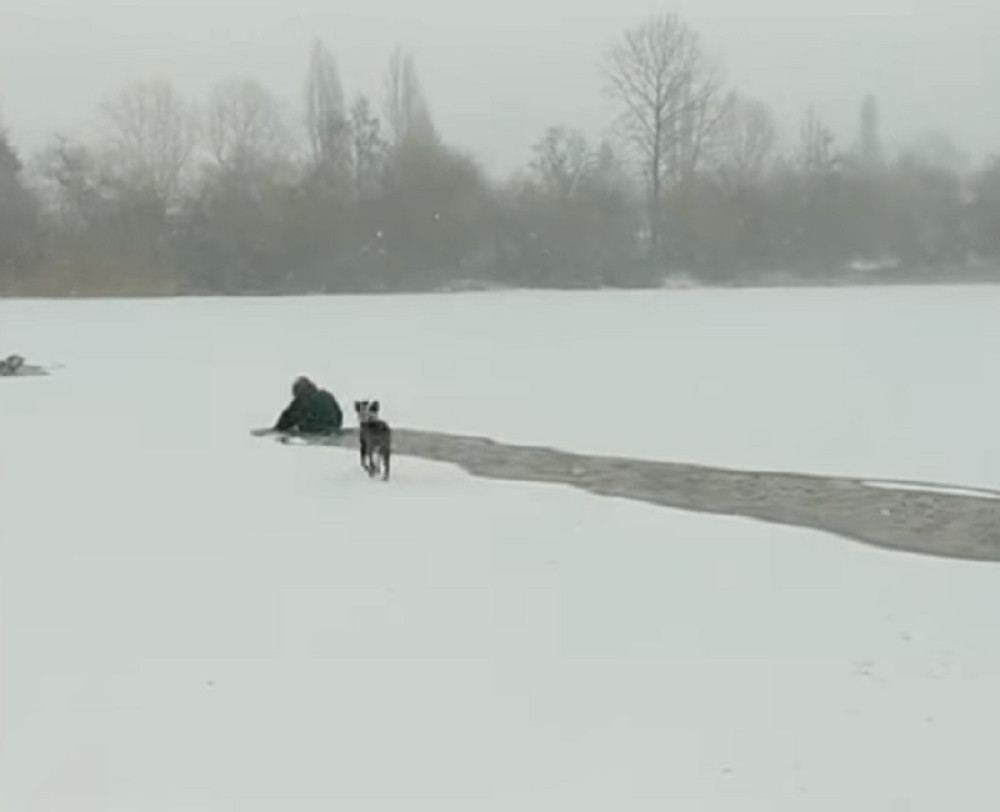 Videla je psa kako se davi u zaleđenom jezeru pa uradila nešto neverovatno!