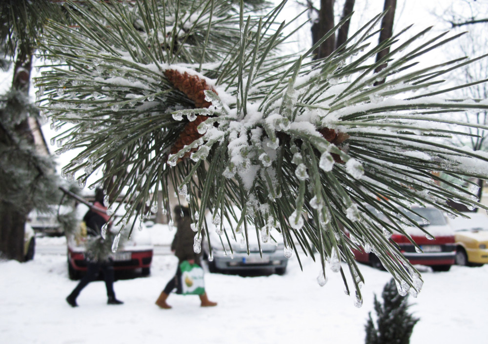 Ledena kiša zaledila Novi Sad, a prizor je neverovatan