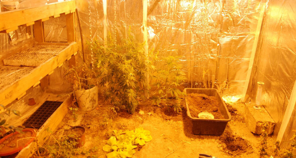 Otkrivene dve laboratorije za proizvodnju marihuane