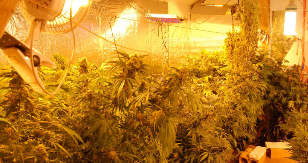 Pronađena laboratorija zastrašujuće namene u Novoj Crnji