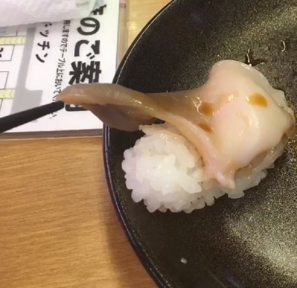 Ono kada ti hrana bukvalno oživi i pobegne s tanjira! (VIDEO)