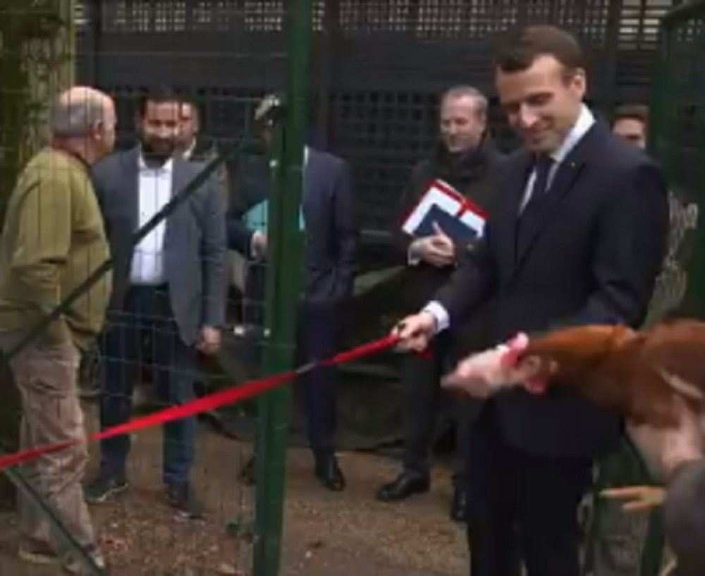 Makron napravio kokošinjac u Jelisejskoj palati