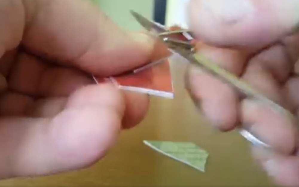 Iznervirao se i isekao člansku kartu stranke! (VIDEO)