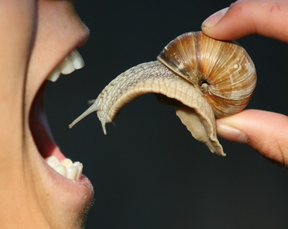 Ragbista pojeo puža, pa bio u komi 420 dana, a onda mu se desilo nešto još gore