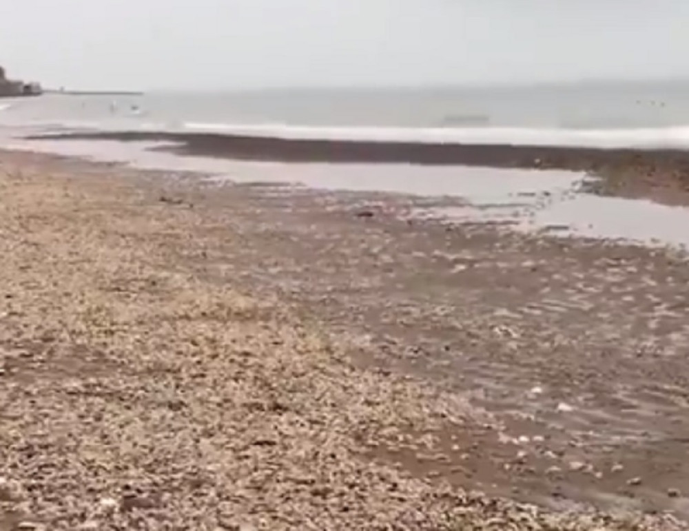 Hiljade mrtvih morskih zvezda na obali Britanije (VIDEO)