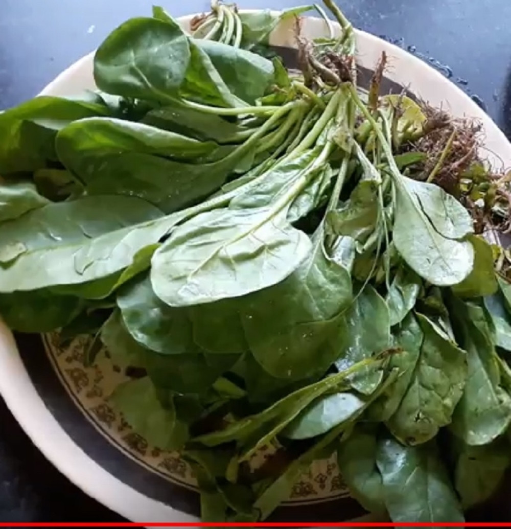 Ovaj zeleni list obara pritisak za nekoliko sati