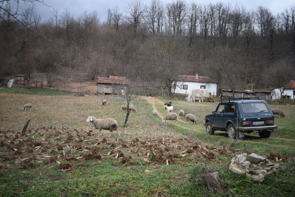Klinac preradio staru "Ladu", pa moćne automobile ostavio u prašini, kada su otvorili haubu ostali su u ŠOKU! (VIDEO)