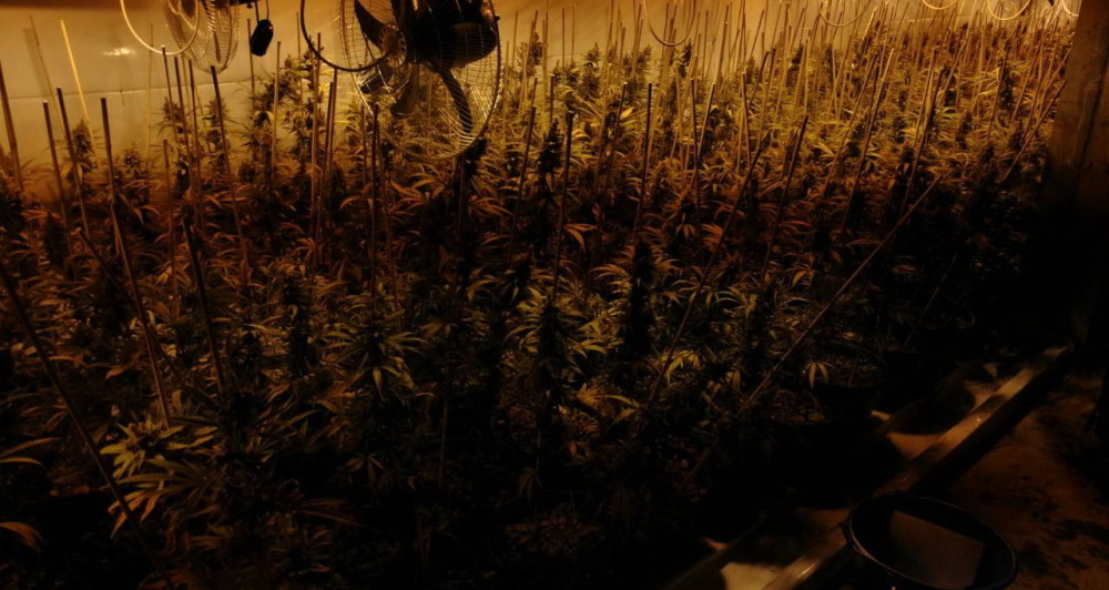 Otkrivena laboratorija skanka