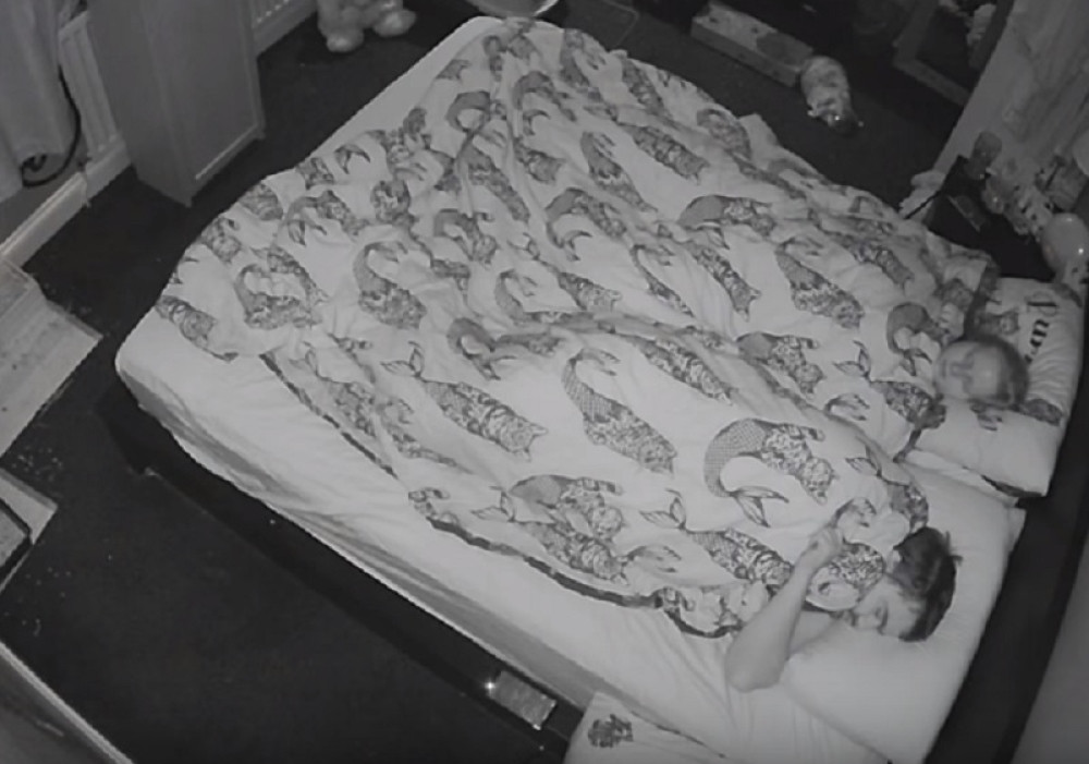 Pustili zečeve u spavaću sobu preko noći, ujutru ih snimak zapanjio!