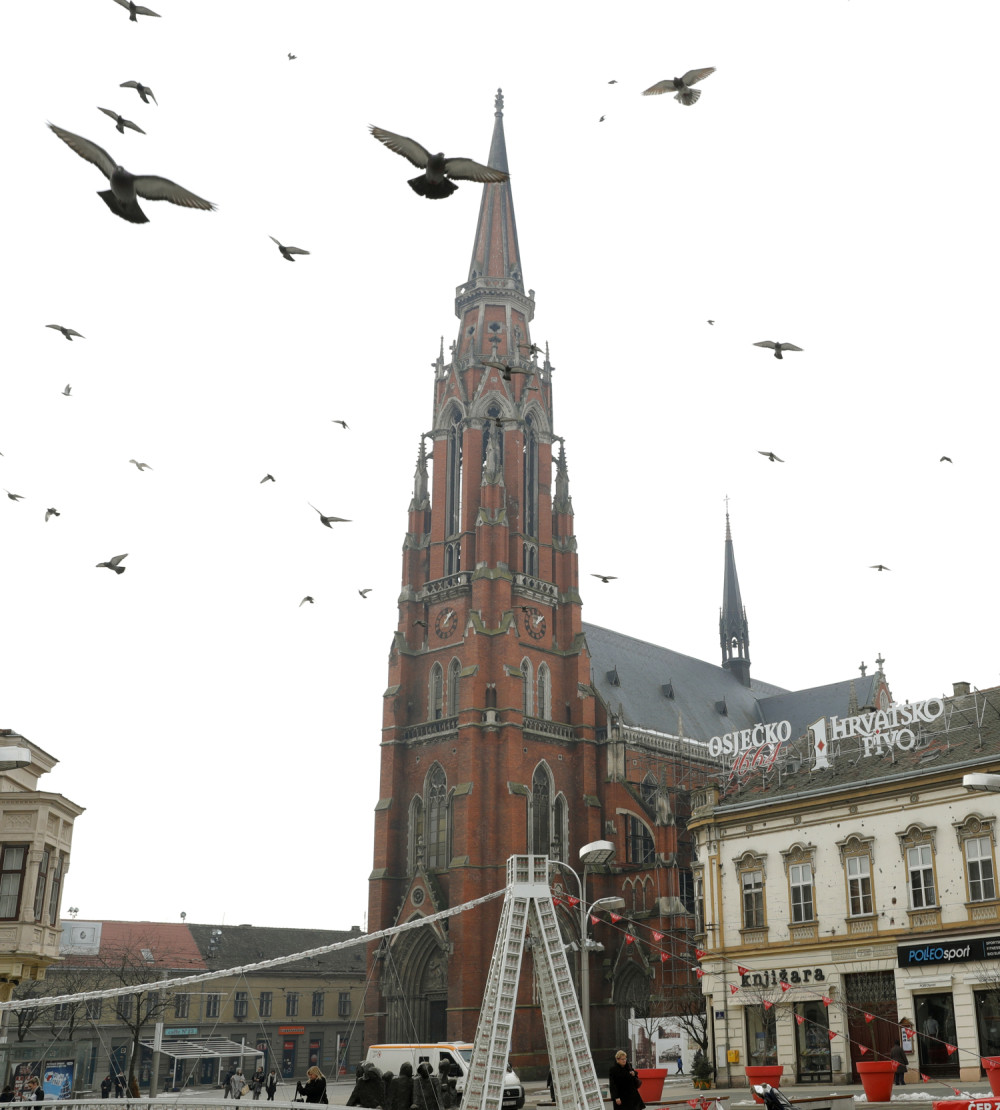 Grad preplavili mrtvi golubovi!