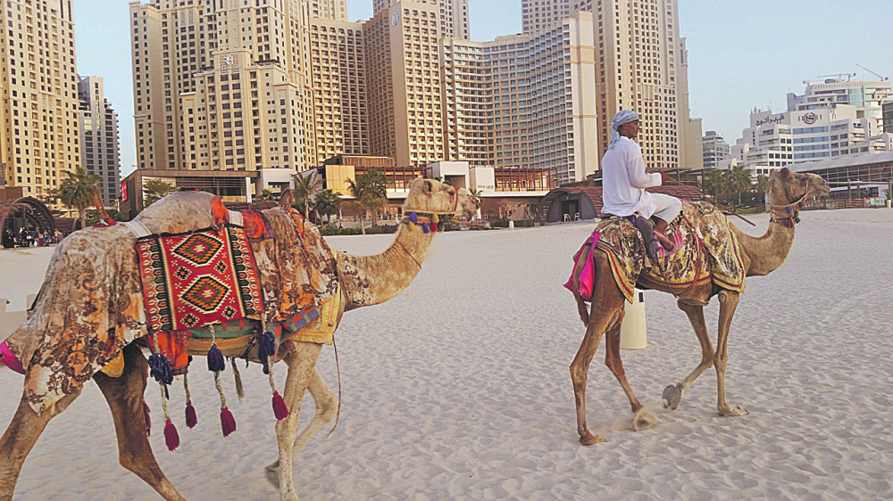 Srbin radio kao lični trener princeze Dubaija, njena porodica je teška MILIJARDE!