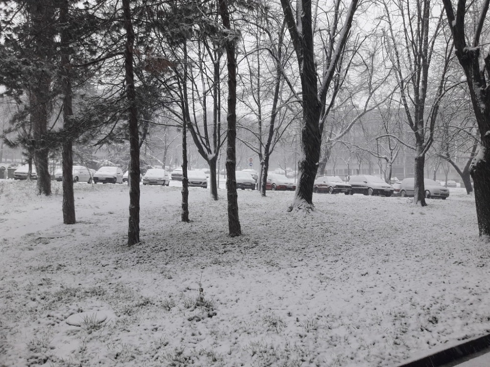 PAO PRVI SNEG U SRBIJI! Na snazi žuti meteoalarm, RHMZ izdao upozorenje (FOTO)