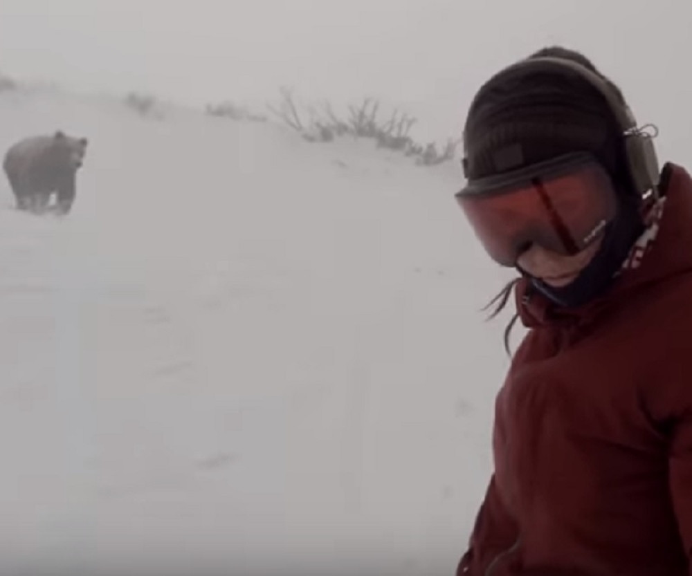 Kad napraviš selfi na skijanju, a medved ti uleti u kadar