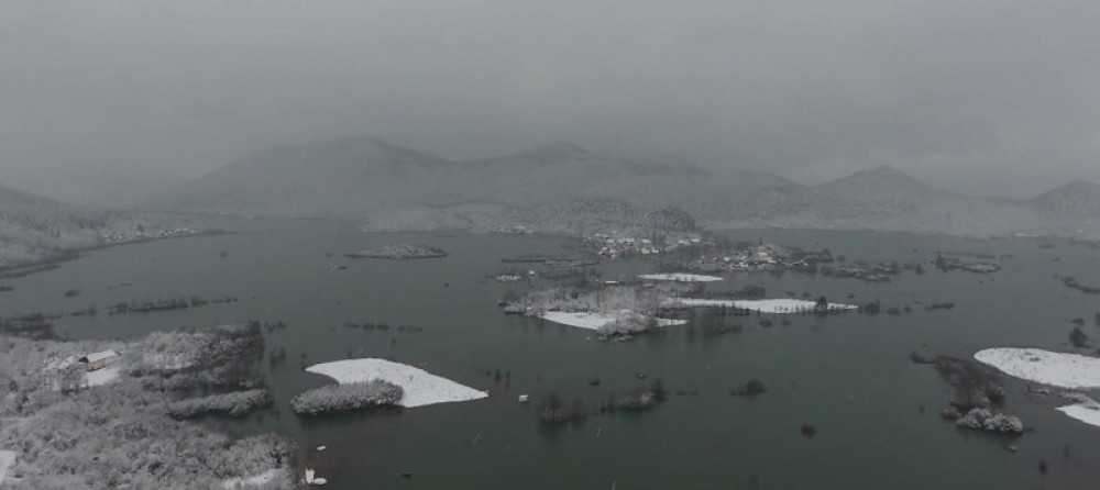 Izumiranje ljudi i životinja do kraja veka postaje realnost? Do 2050. doći će do ogromnih promena