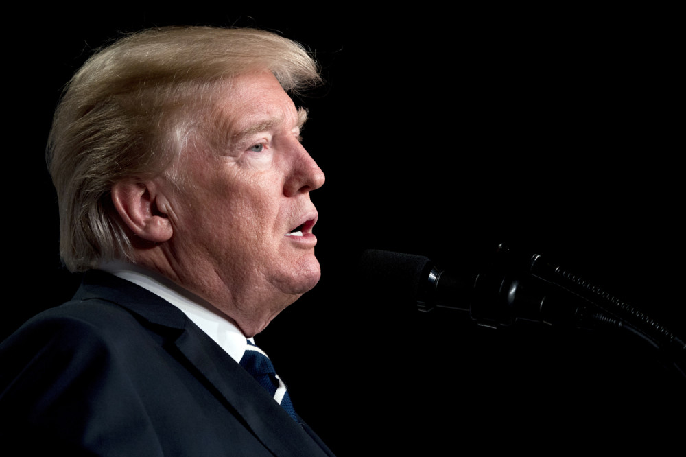 Ovo je Trampova dvojnica (FOTO)