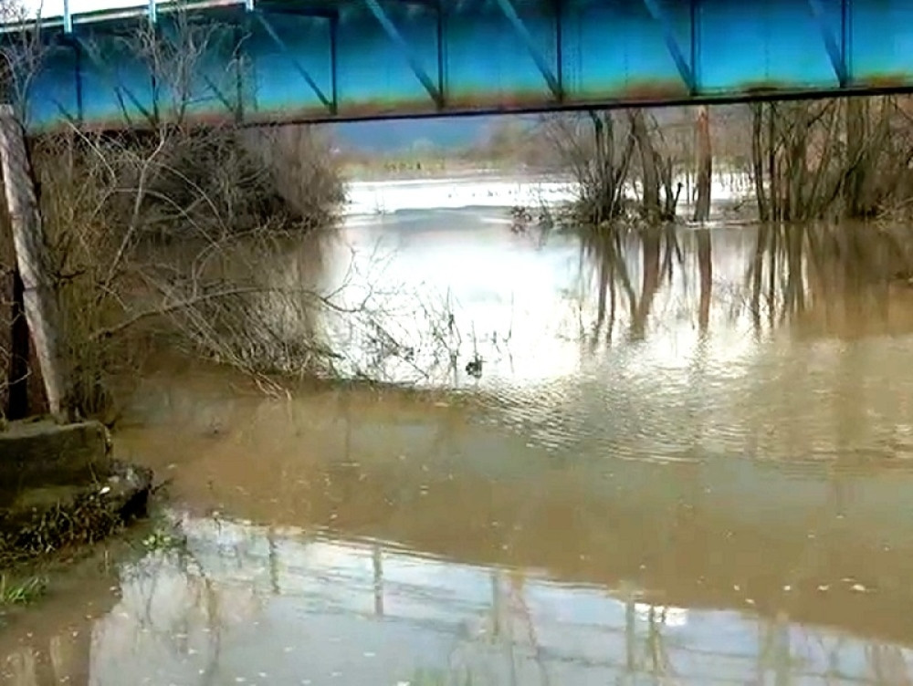 Iz mutne vode isplivao modar leš muškarca!