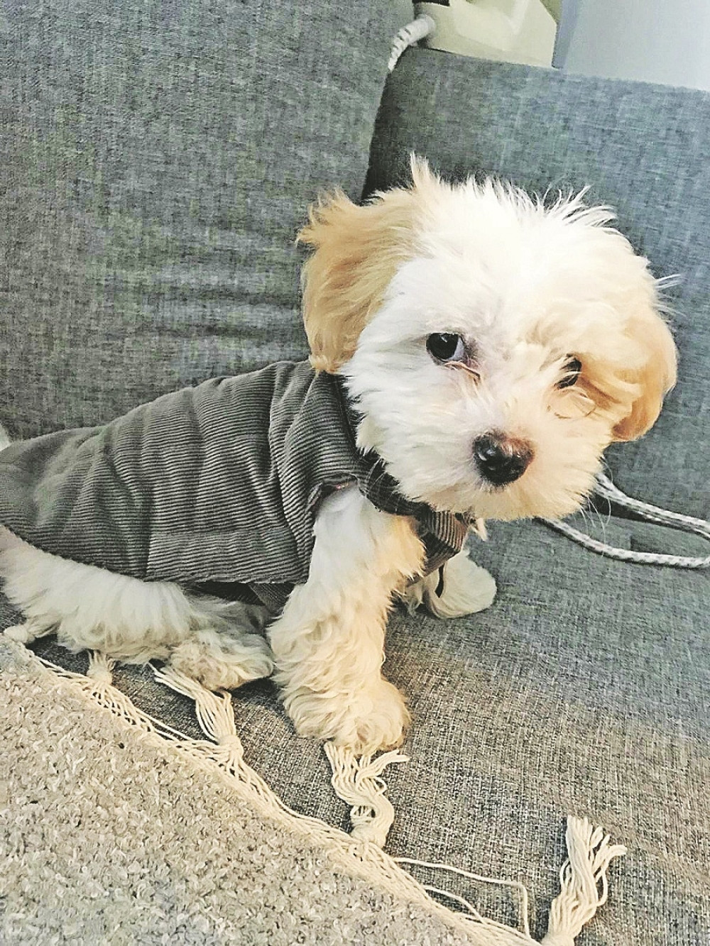 Pravda za Lea, ubiće ga za mesec dana!