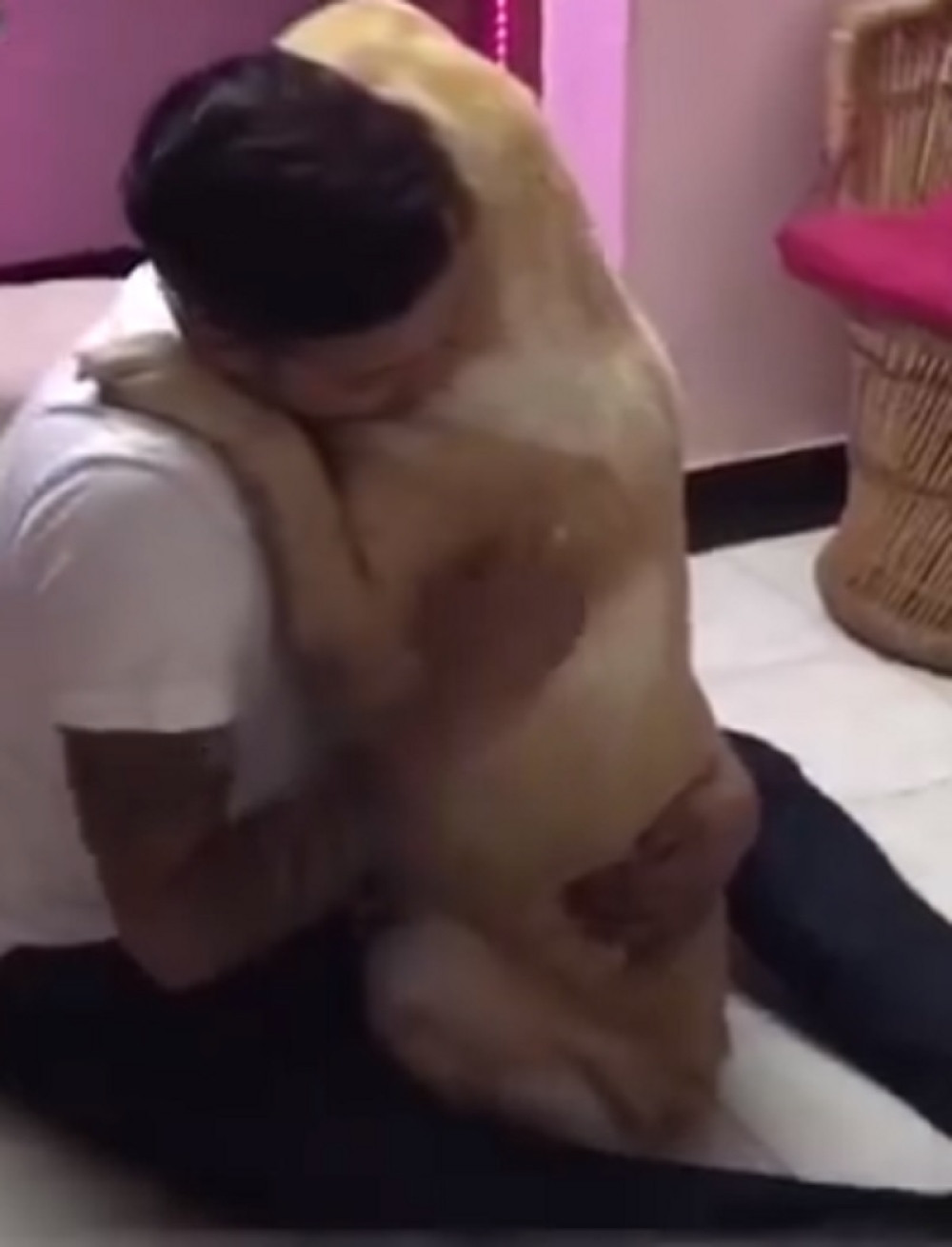 Pas došao kući nakon teške operacije, pa uradio nešto dirljivo (VIDEO)