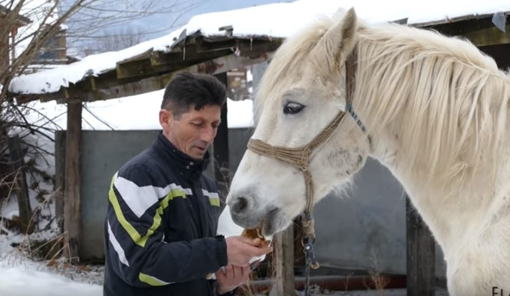 Konj Zekan uđe u kuću i jede sa stola, a ćevape dere