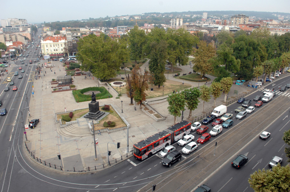 Danas čišćenje zvezdarske šume