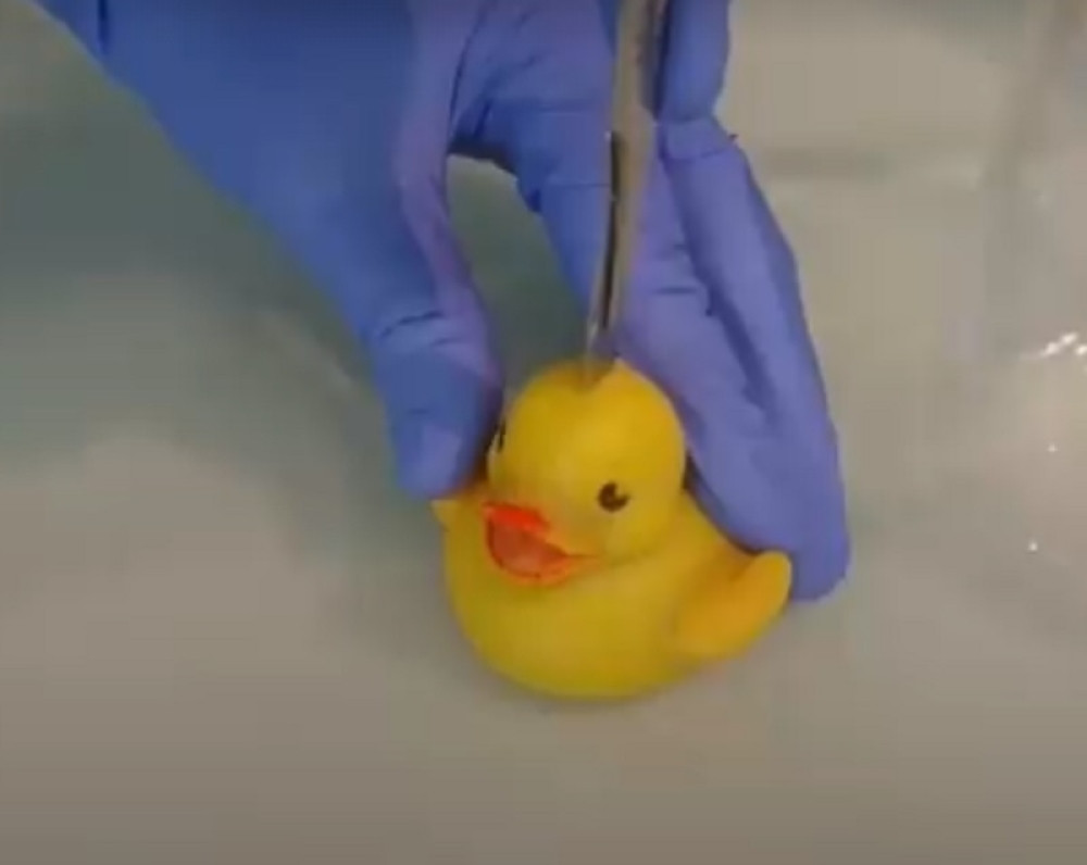 Kada vidite šta se krije unutar omiljenih igračaka, zgrozićete se! (VIDEO)