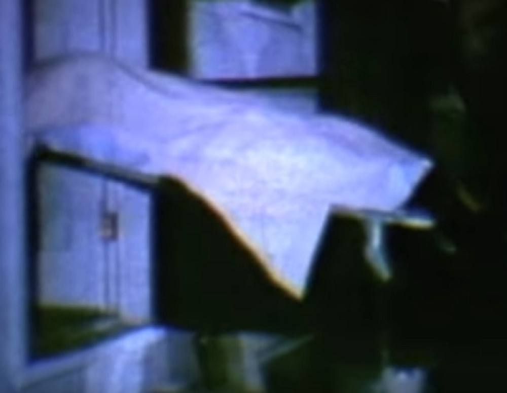 Ubio majku, brata, snaju i osmoro dece, krv se slivala niz zidove u podrum