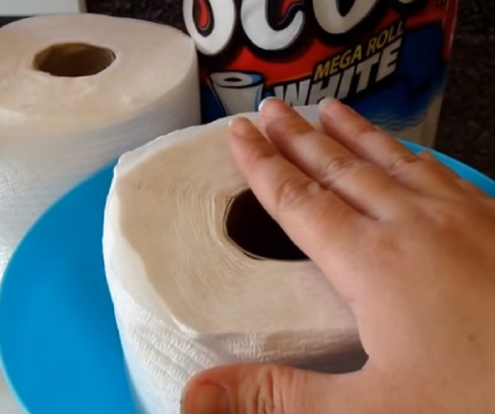 Presekla je papirni ubrus na pola, i otkrila neverovatnu caku!